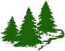 pines-grn.jpg (2538 bytes)